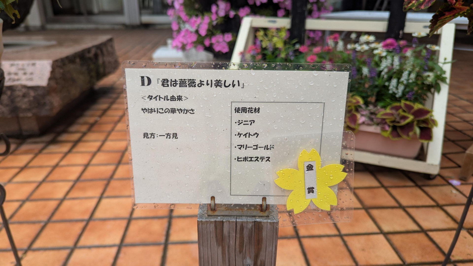 メディア (6)